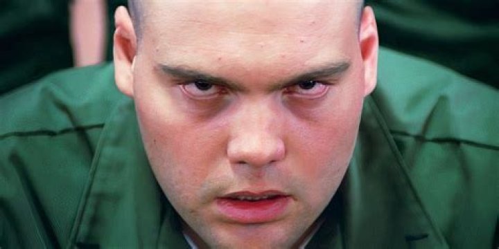 Vincent D’Onofrio From Full Metal Jacket to a Diverse Career