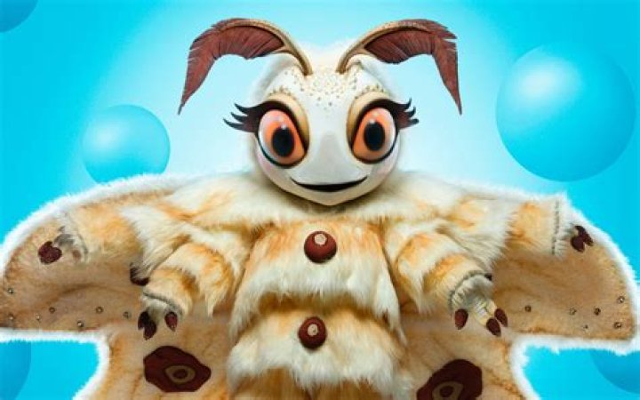 Who is Poodle Moth on 'The Masked Singer'? Parade