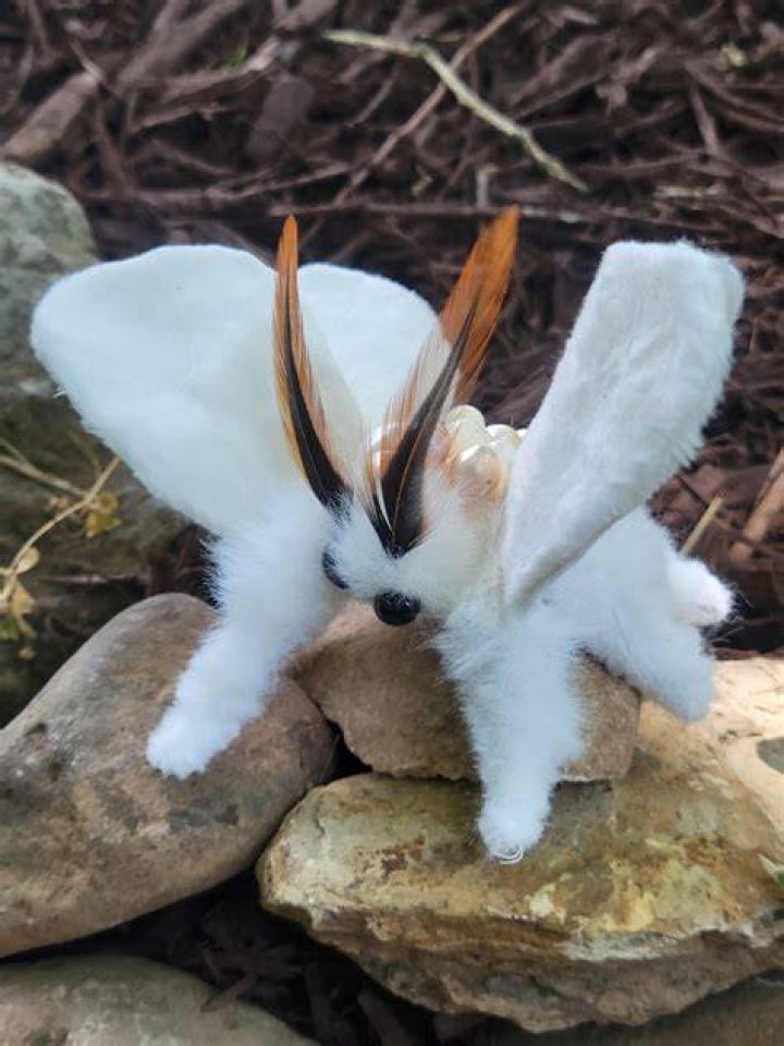 Who’s Poodle Moth on The Masked Singer? She Played a Singer on This